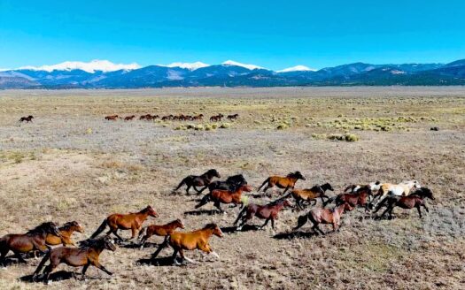 40 Acres Residential Land with Mountain Views in San Luis, Colorado 81151