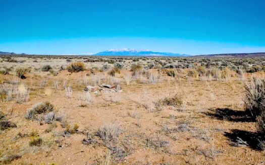 40 Acres Residential Land with Mountain Views in San Luis, Colorado 81151