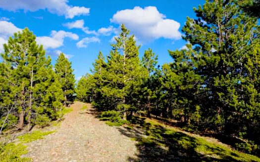 2.77 Acres Secluded Beautiful Mountain Residential Land in Idaho Springs, CO 80452