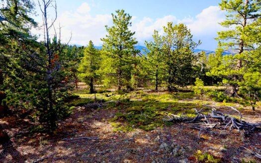 2.77 Acres Secluded Beautiful Mountain Residential Land in Idaho Springs, CO 80452