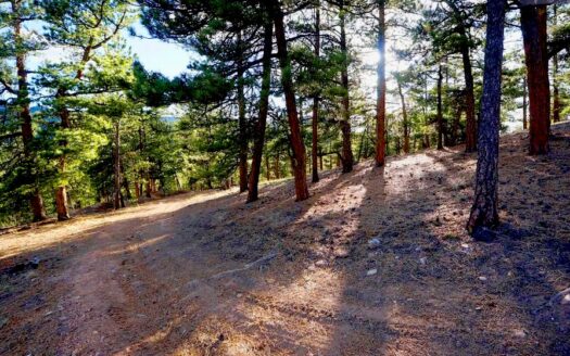 3.448 Acres Beautiful Mountain Land of Weekend Getaway, Idaho Springs, CO 80452