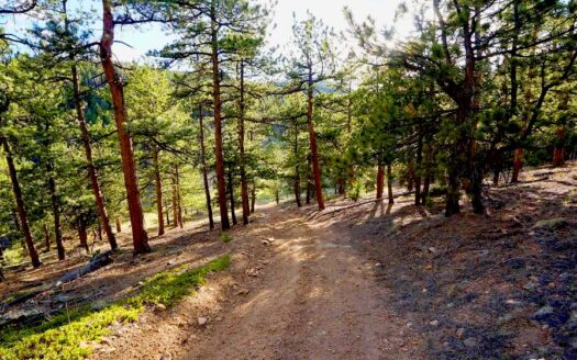 2.77 Acres Secluded Beautiful Mountain Residential Land in Idaho Springs, CO 80452