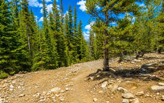 SOLD- 4.10 Acres Mountain Getaway Surrounded by National Forest, Black Hawk, CO 80422