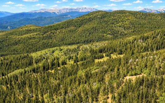4.10 Acres Mountain Getaway Surrounded by National Forest, Black Hawk, CO 80422