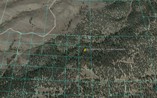 2.47 Acre with Trees and Mountain Views, Cotopaxi, CO 81223