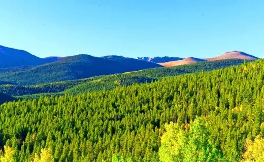 3.9 Acres Wooded Mountain Getaway or Cabin Lot, Idaho Springs, CO 80452