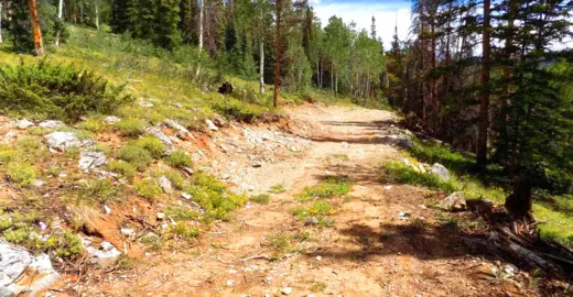 10.15 Acres Adjacent to National Forest with Seasonal Creek and Lake Access, Gunnison, CO 81210