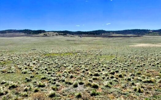 3 Acres Camp or Build Beautiful Affordable Mountain Lot, Como, CO 80432