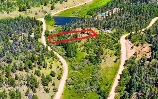 SOLD-1.31 Acres Beautiful Treed Land Near Florissant, Colorado 80816