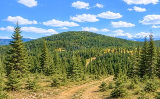 3.07 Acres Surrounded by National Forest with Mountain Views in Black Hawk, Colorado 80422
