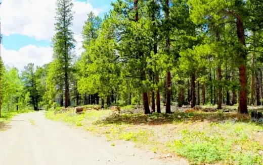 4.10 Acres Mountain Getaway Surrounded by National Forest, Black Hawk, CO 80422