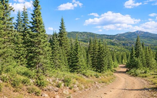 3.07 Acres Surrounded by National Forest with Mountain Views in Black Hawk, Colorado 80422