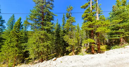 0.36 Acres Cabin Lot Next to Evergreen Forest near Lake Quivira, Idaho Springs, CO 80452