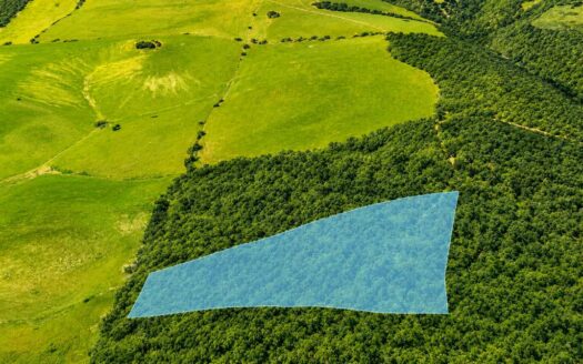 5 Acres Wooded Lot for Sale, Huntsville, AR 72740