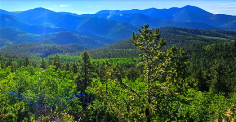 10.15 Acres Adjacent to National Forest with Seasonal Creek and Lake Access, Gunnison, CO 81210