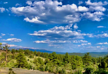 4.22 Acres Beautiful Lot to Build or Camp in Pagosa Spring, CO 81147