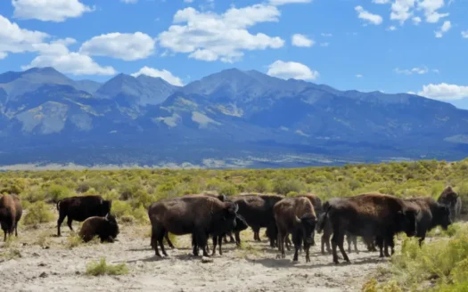 40 Acres Residential Land with Mountain Views in San Luis, Colorado 81151