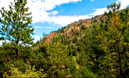 8.29 Acres Land for Camp, Hunting, ATV or Build, Cripple Creek, CO 80813