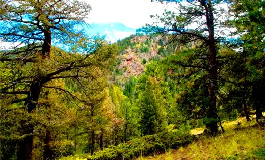 8.29 Acres Land for Camp, Hunting, ATV or Build, Cripple Creek, CO 80813