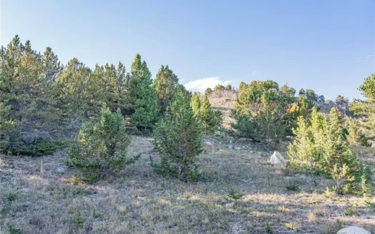 3.07 Acres Surrounded by National Forest with Mountain Views in Black Hawk, Colorado 80422