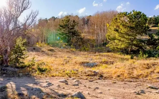 3.07 Acres Surrounded by National Forest with Mountain Views in Black Hawk, Colorado 80422