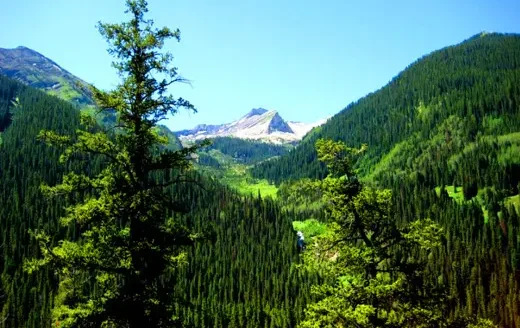 10.33 Acres Mountain Hunting Land in Gunnison, Colorado 81230