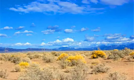 1 Acre Affordable Colorado Land to be your Getaway near Alamosa, CO 81101