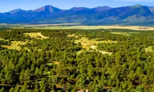 2.47 Acre with Trees and Mountain Views, Cotopaxi, CO 81223