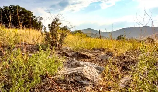 2.61 Acres Affordable Mountain Getaways, Cotopaxi, CO 81223