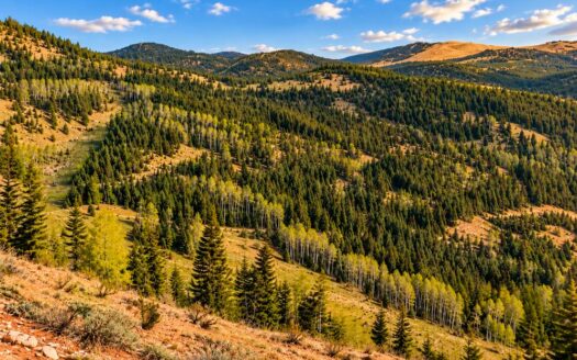 6.45 Acres with Creek, Power, Road and adjacent to BLM Land, Cripple Creek, CO 80813