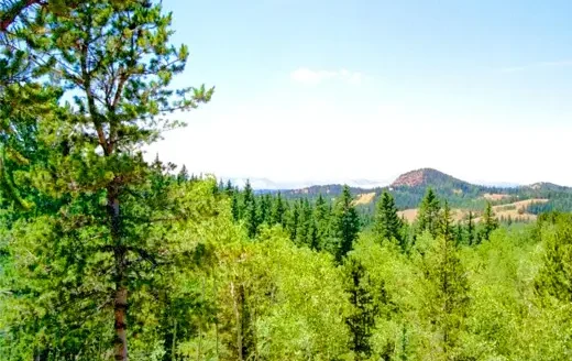 9.90 Acres Surrounded by National Forest and Adjacent to Creek, Cripple Creek, CO 80813