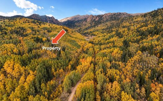 9.90 Acres Surrounded by National Forest and Adjacent to Creek, Cripple Creek, CO 80813