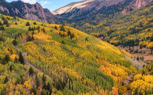 9.90 Acres Surrounded by National Forest and Adjacent to Creek, Cripple Creek, CO 80813