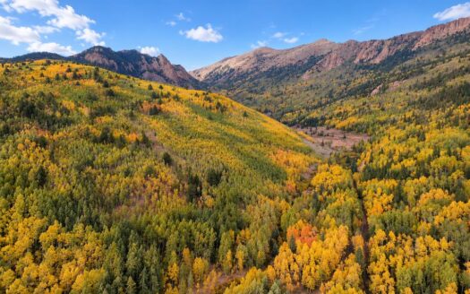9.90 Acres Surrounded by National Forest and Adjacent to Creek, Cripple Creek, CO 80813