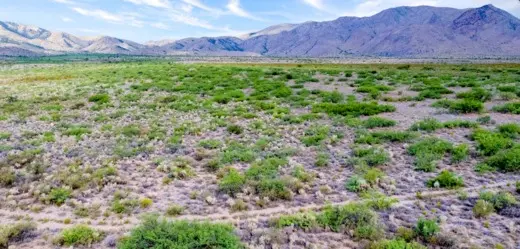 9.26 Acres Adjacent to National Forest with Mountain Views near Cochise, AZ 85606