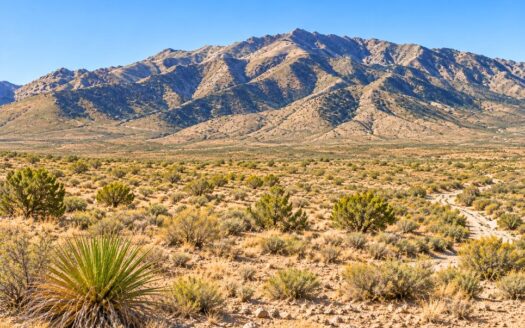 9.26 Acres Adjacent to National Forest with Mountain Views near Cochise, AZ 85606