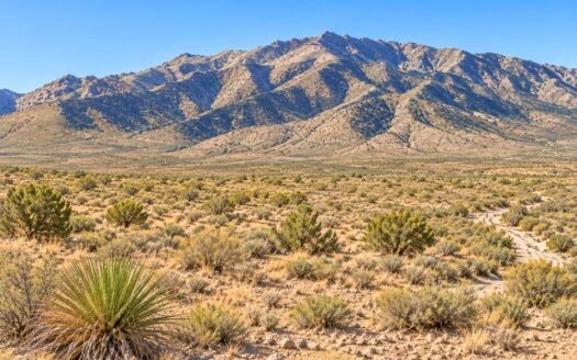 9.26 Acres Adjacent to National Forest with Mountain Views near Cochise, AZ 85606