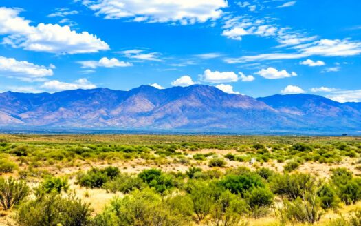 4.02 Acres of Mountain View Heaven – Ready for Your New Site Built or RV/Manufactured Home, Hereford, AZ 85615