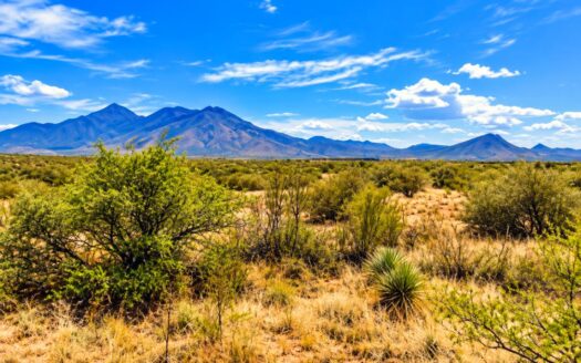 4.02 Acres of Mountain View Heaven – Ready for Your New Site Built or RV/Manufactured Home, Hereford, AZ 85615