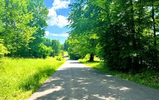 5.28 Acres Treed Lot to Build or Invest, Marengo, IN 47140