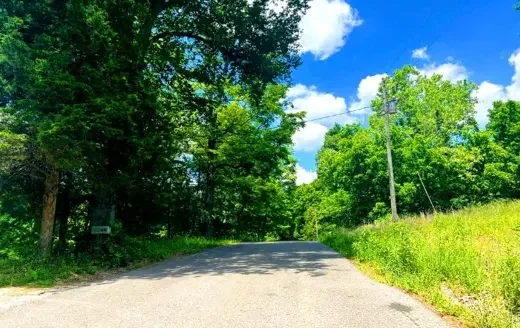 5.28 Acres Treed Lot to Build or Invest, Marengo, IN 47140