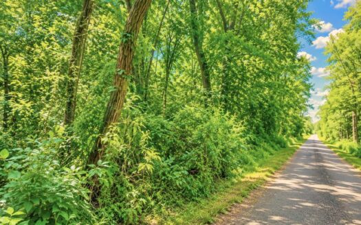 5.28 Acres Treed Lot to Build or Invest, Marengo, IN 47140