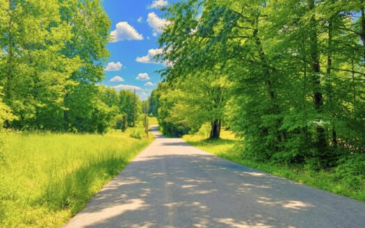 5.28 Acres Treed Lot to Build or Invest, Marengo, IN 47140