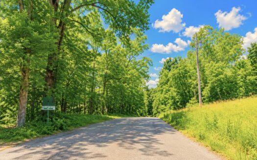 5.28 Acres Treed Lot to Build or Invest, Marengo, IN 47140