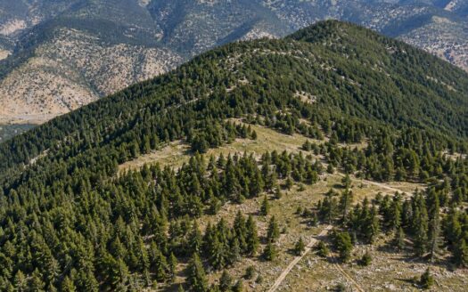 3.9 Acres Wooded Mountain Getaway or Cabin Lot, Idaho Springs, CO 80452