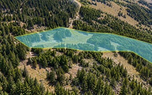 3.9 Acres Wooded Mountain Getaway or Cabin Lot, Idaho Springs, CO 80452