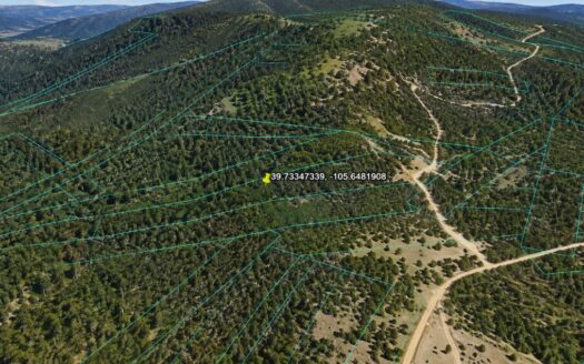3.9 Acres Wooded Mountain Getaway or Cabin Lot, Idaho Springs, CO 80452