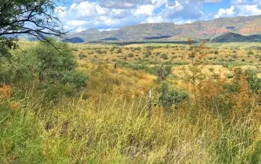 2.02-Acre Land for Building, Camping or RV Living with Mountain Views, Rio Rico, AZ 85648