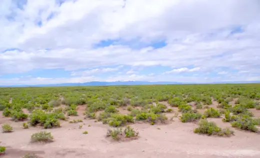 5 Acres Beautiful Lot to Build or Weekend Camping, Mosca, CO 81146