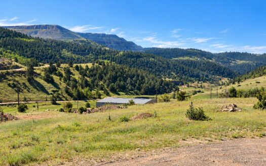 0.72 Acres to Develop or Invest in Cripple Creek, CO 80813